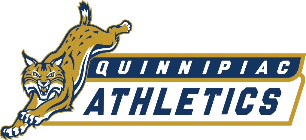 Quinnipiac Bobcats 2002-2018 Wordmark Logo 02 iron on paper